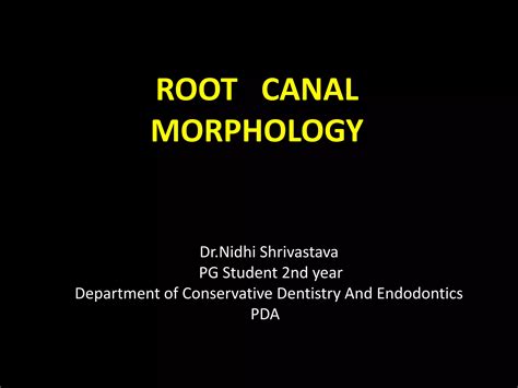 Root canal morphology nidhi | PPT