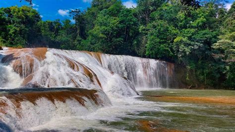 Desde Palenque Palenque Cascadas De Agua Azul Y Misol Ha Getyourguide