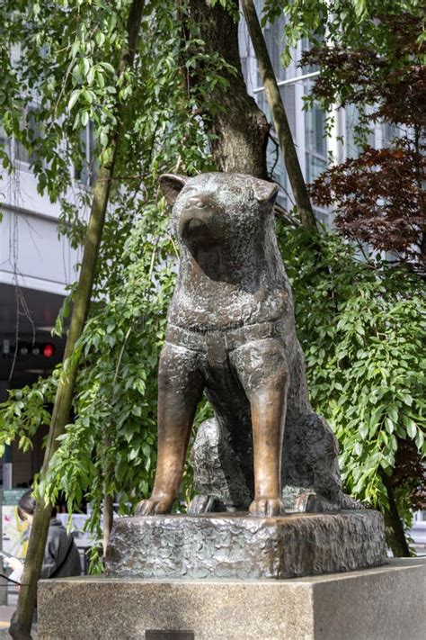 The Hachiko Statue In Shibuya Tokyo Editorial Photo Image Of