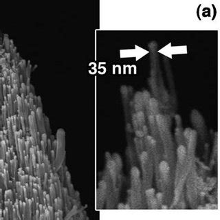 A The ZnO Nanowire Work Function Measured Using Ultraviolet