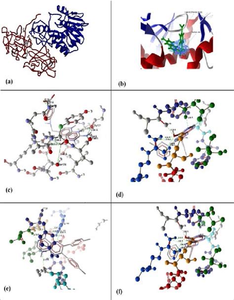 (a) Crystallographic structure of Ricin (Ricin-A chain is shown in blue... | Download Scientific ...