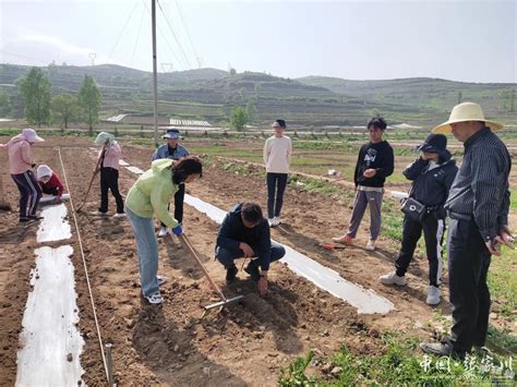 国家乡村振兴重点帮扶县科技特派团工作综述图 天水在线