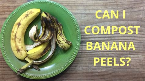 Can I Compost Banana Peels YouTube