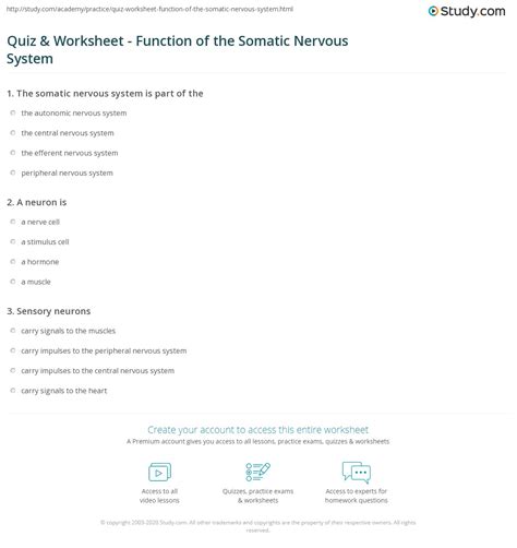 Quiz And Worksheet Function Of The Somatic Nervous System