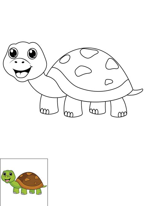 How to Draw A Turtle Step by Step