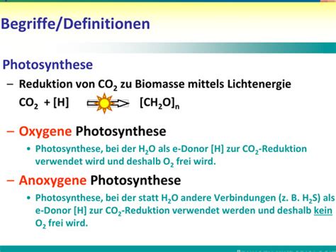 Phototrophe Bakterien Karteikarten Quizlet