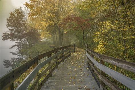 "Autumn at Peaks of Otter, Milepost 86" by Maria Jaeger Photography