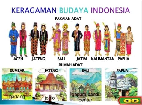 34 Nama Rumah Adat Pakaiantarian Adat Dan Senjata Tradisional Di