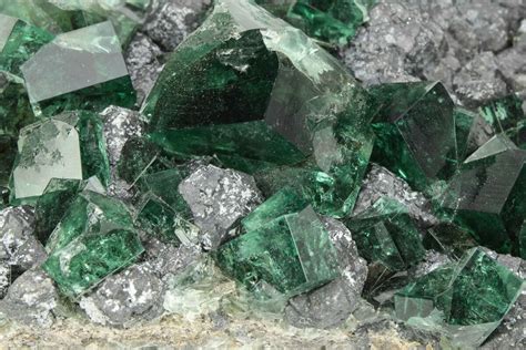 Fluorescent Green Fluorite On Galena Diana Maria Mine