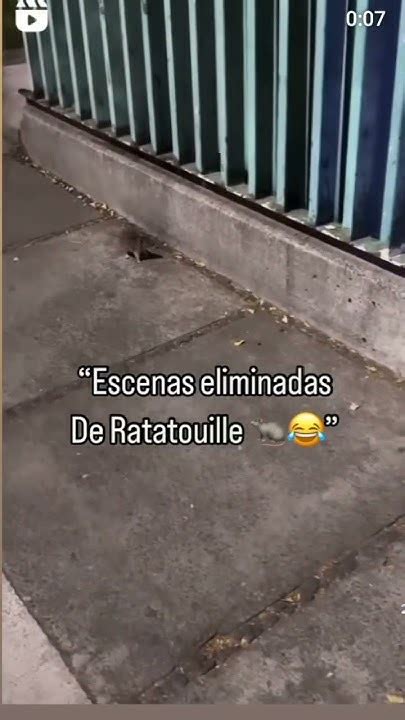 Escena Eliminada De Ratatouille 😂🤣 Youtube