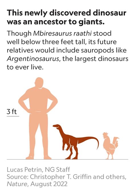 Prachtig bewaard gebleven fossiel is Afrika’s oudste dinosauriër