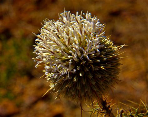 The Stunning Tigray Rock-Cut Churches of Ethiopia
