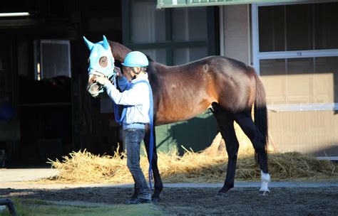 障害絶対王者オジュウチョウサンが中山大障害当日に引退式 長山尚義オーナー「とても光栄です」 競馬写真ニュース 日刊スポーツ