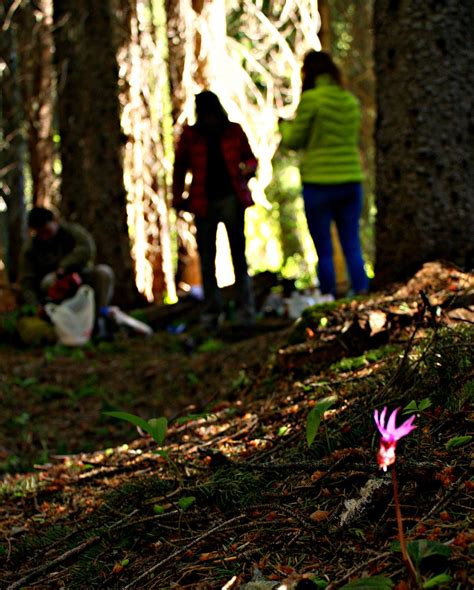 Chiwaukum Creek Washington Trails Association