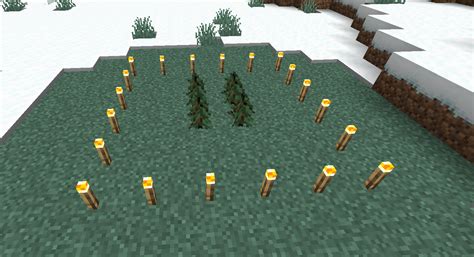 Everything About Minecraft Spruce Tree And Why It Doesn T Grow