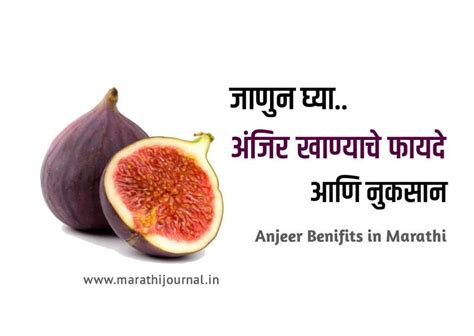 अंजीर खाण्याचे फायदे आणि नुकसान Top Benefits Of Anjeer In Marathi