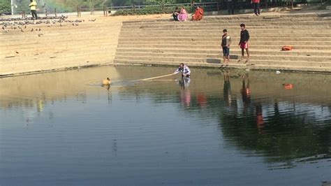 Man Rescues Bird From Drowning Youtube