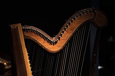 All Types Of Harps Uses Features Examples Atelier Yuwa Ciao Jp