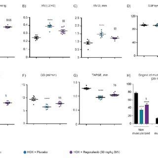 Effect Of Regorafenib On Proliferation And Migration Of Human Pulmonary