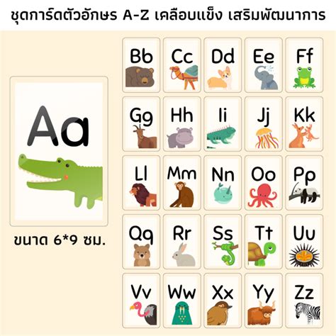 บตร A Z เคลอบแขงรปสตว 26 ใบ บตรชด A Z animal การด a z แผน