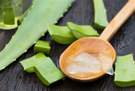 8 Best Aloe Vera Shampoo Products: A Complete Guide - Hair Kempt