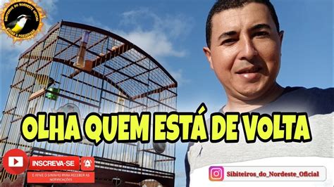 OLHA QUEM ESTÁ DE VOLTA YouTube