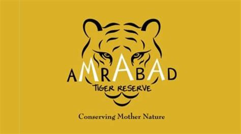 Safari rides, treks back in Amrabad Tiger Reserve