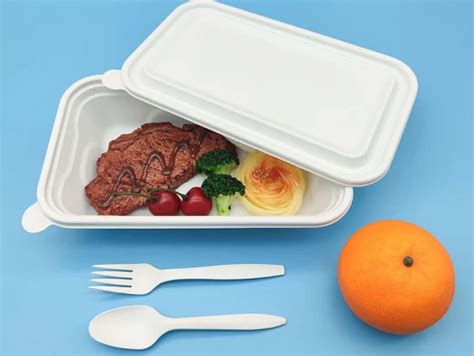 Biodegradable Disposable Rectangle Take Away Food Container Takeout