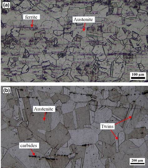 Optical Micrographs Of The Base Metals A Aisi 316 L And B In718