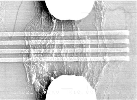 Figure 1 From Carbon Nanotube Bolometers Semantic Scholar