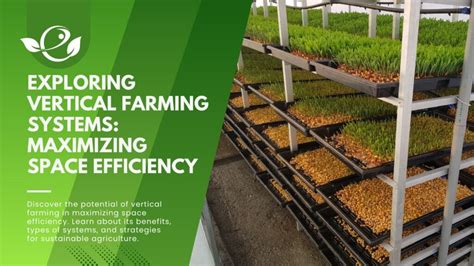 Exploring Vertical Farming Systems: Maximizing Space Efficiency ...