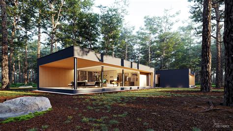 House In The Woods D Corner D Visualizations That Power Your Business