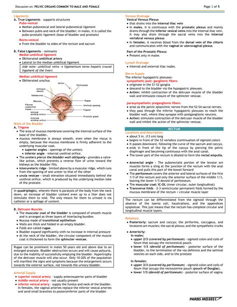 SOLUTION Gross Anatomy Pelvic Organs Studypool