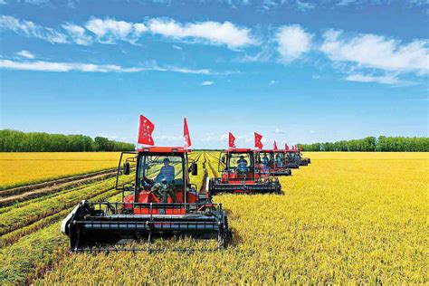 Rewards Reaped From Modern Agriculture Chinadaily Cn