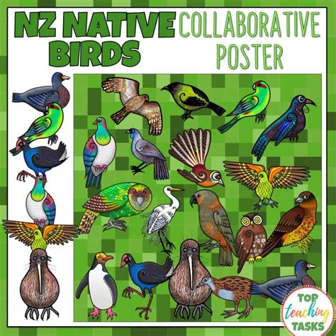 New Zealand Native Birds Lower Level Passages Volume One Top Teaching Tasks