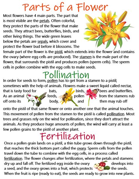 What is a pathogen its types diseases spread and safety measures – Artofit