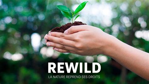 Rewild La Nature Reprend Ses Droits Dokumentarfilm Klima Natur