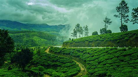 Monsoon Travel Must Visit Destinations In Kerala Herzindagi