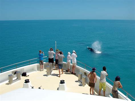 CORAL GEOGRAPHER | Coral Expeditions Kimberley Cruise Ship