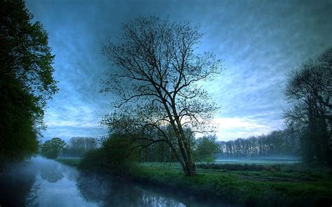 Dark River Nature Rivers Hd Wallpaper Peakpx