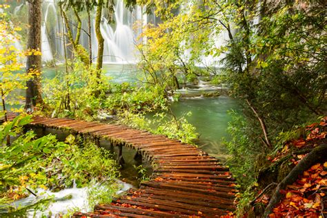 サマーレイン。雨だからこそ美しい世界の風景 Tabizine～人生に旅心を～