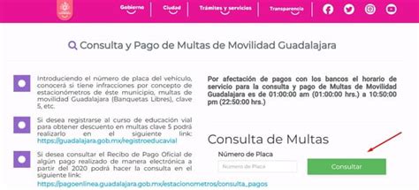 Multas En Guadalajara Consulta Y Paga Tus Infracciones 2024