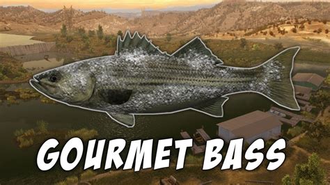 Gourmet Bass Monster San Joaquin Fishing Planet Indonesia Youtube