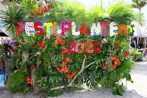 Festi Plantes fait son retour au Parc du Colosse à Saint André Actus