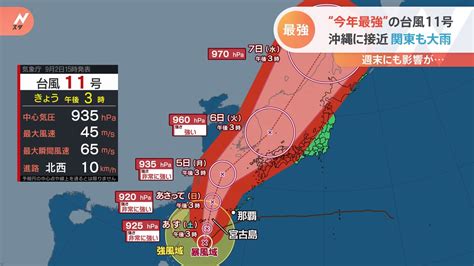 まさか新婚旅行を“今年最強”台風11号が直撃 関東や静岡で大雨も 気象庁が警戒呼びかけ Tbs News Dig