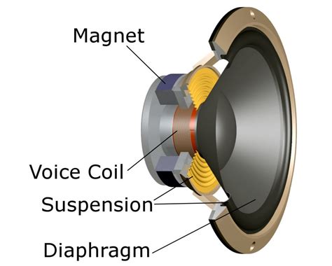 How To Wire Component Speakers Diagram