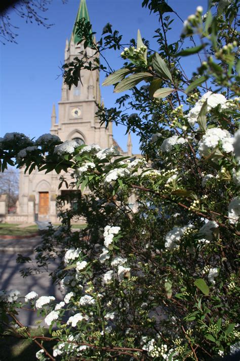 Plaza Jos Mar A Bustos Turismo Ramallo