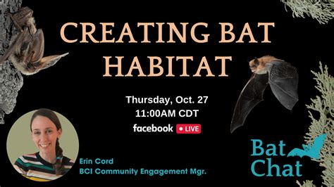 Creating Bat Habitat - Bat Conservation International