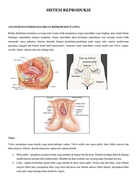 Diktat 12 Reproduksi Pdf