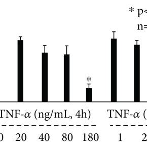 The effect of TNF α on p Tau accumulation and cell viability in mouse